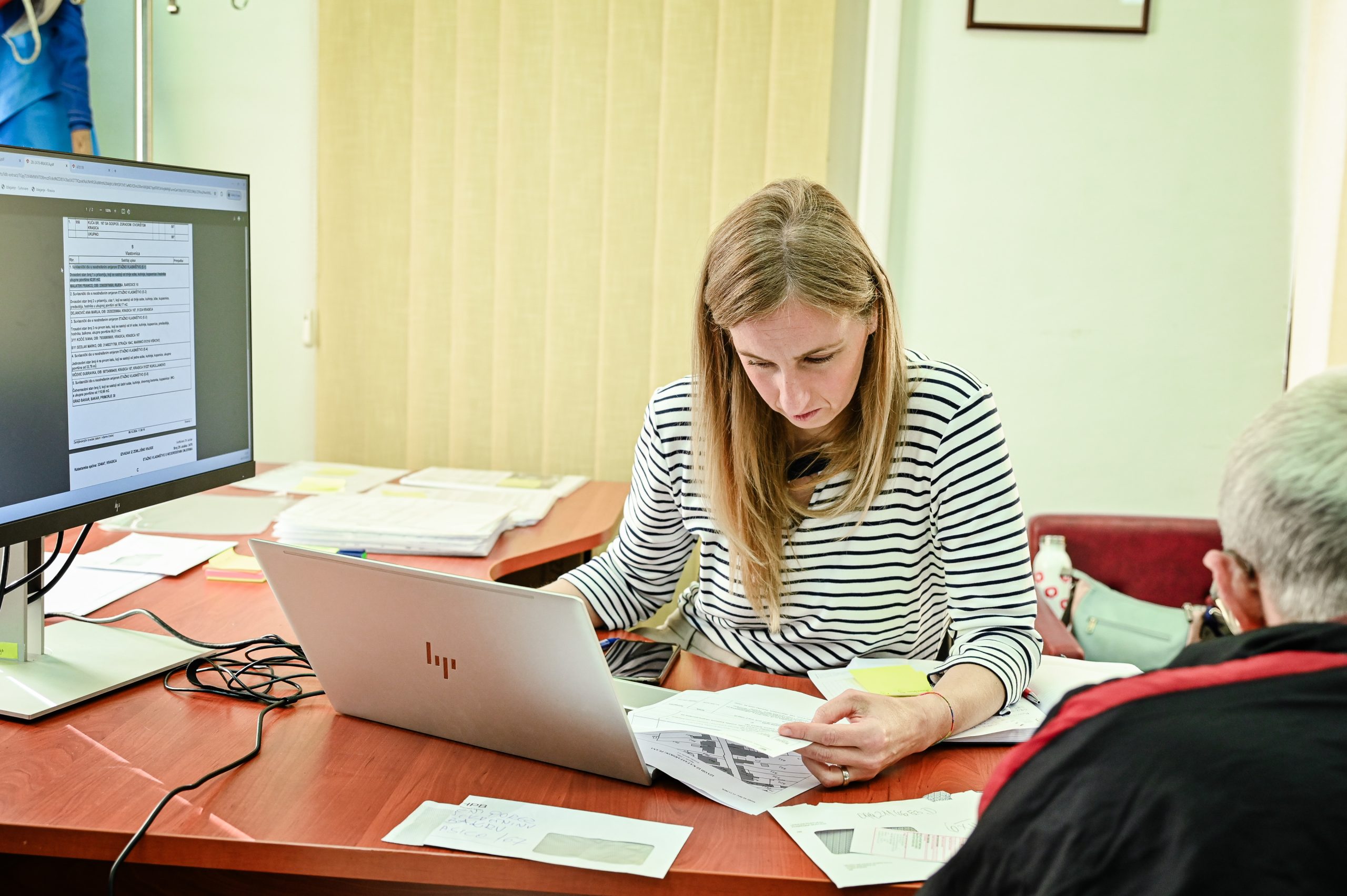 Pregledavanje podataka na predočavanju